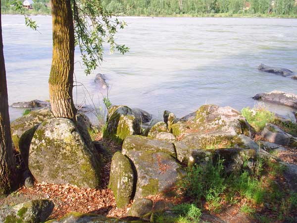 Берег реки Катунь 