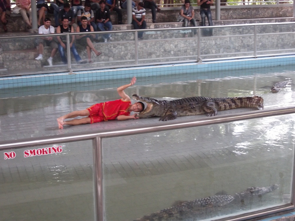 Фото с шоу крокодилов в Тайланде